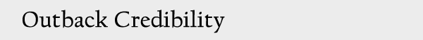 Outback Solutions web design Credibility