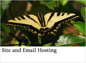 Outback Solutions Internet site email hosting